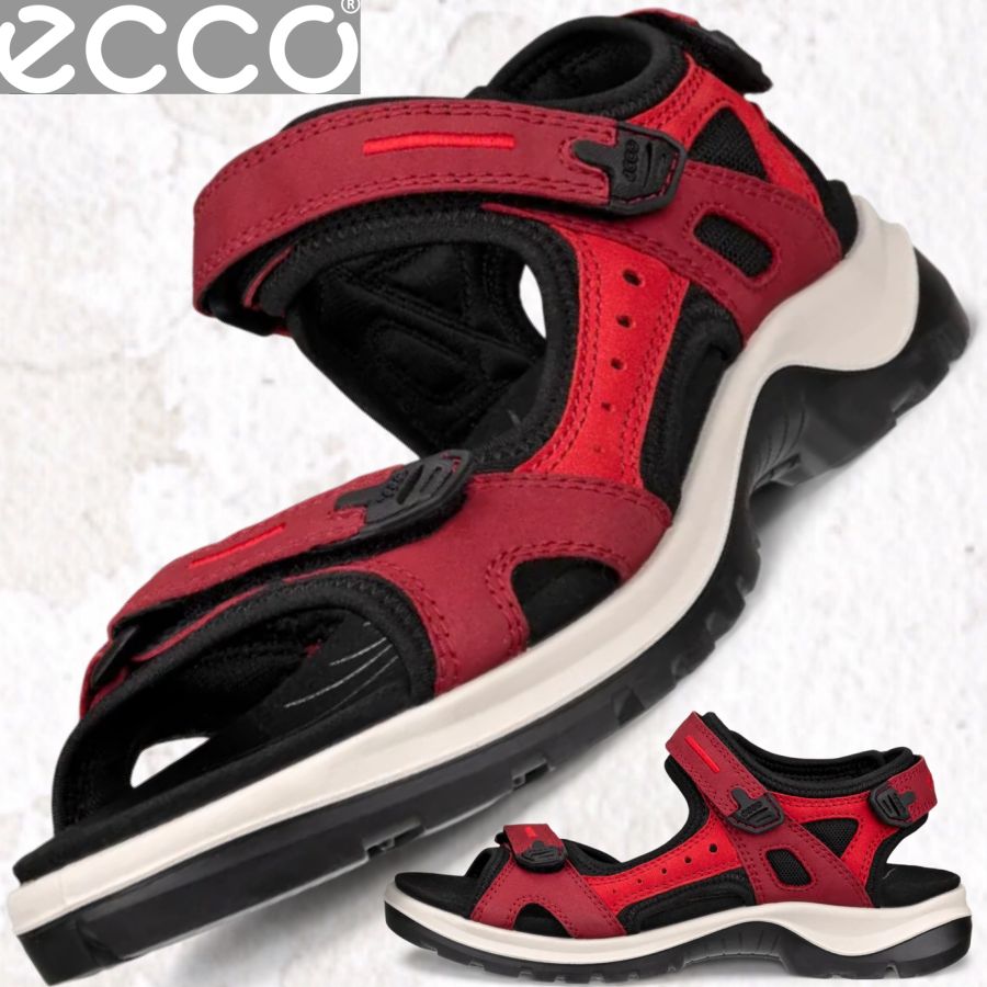 Ecco