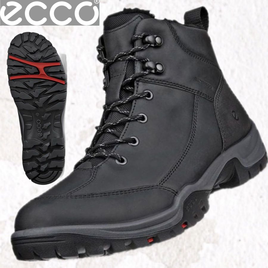 Ecco