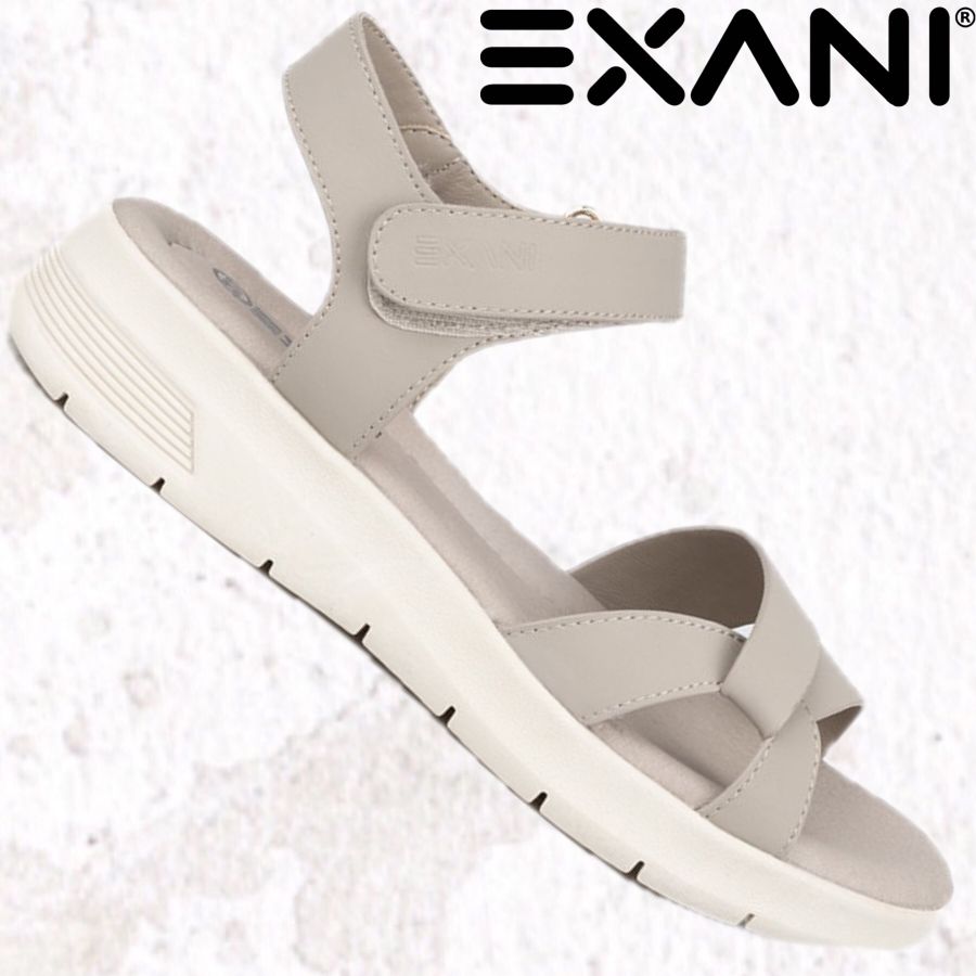 EXANI