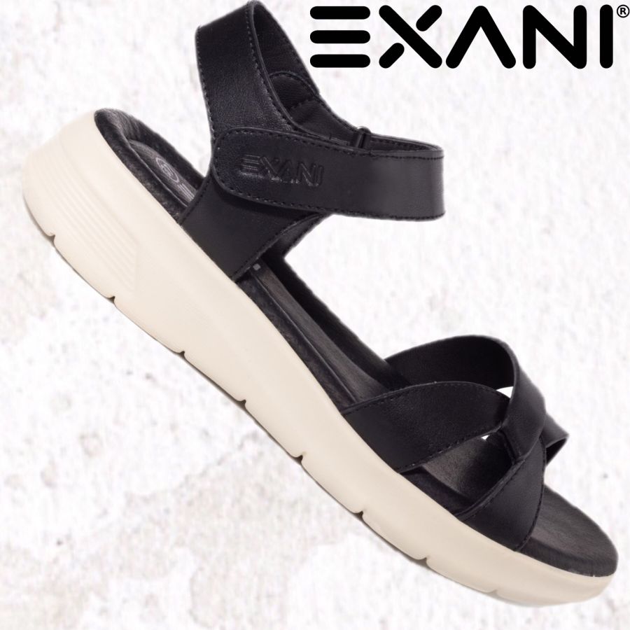 EXANI