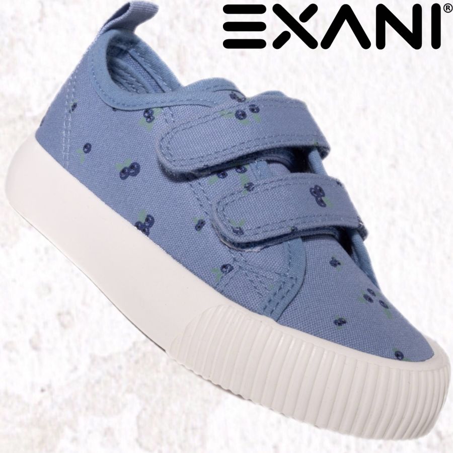 EXANI