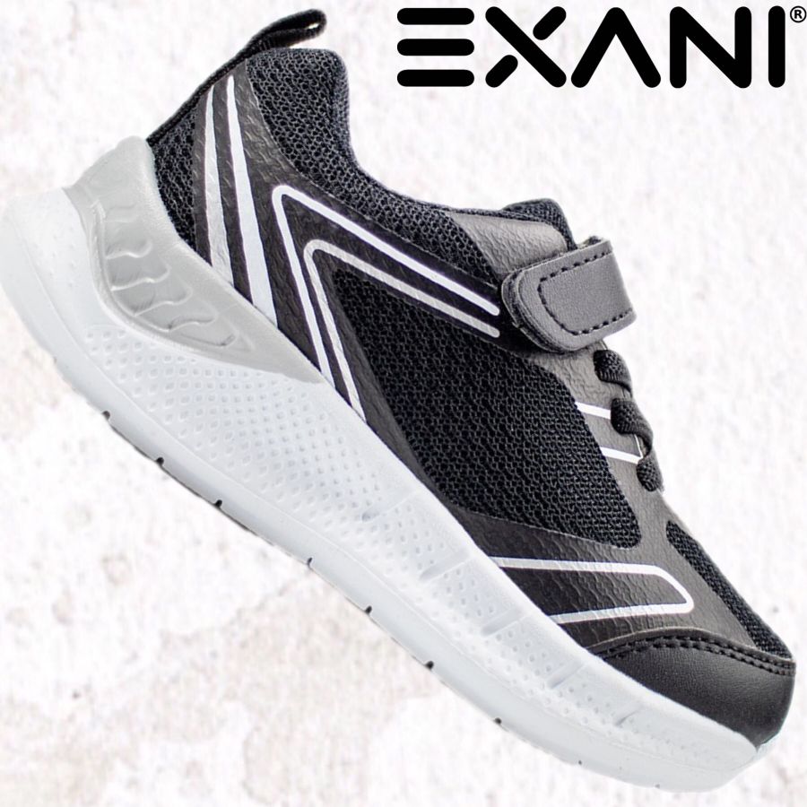 EXANI