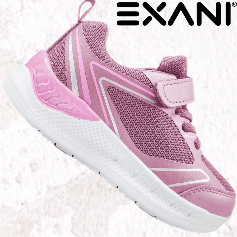 EXANI