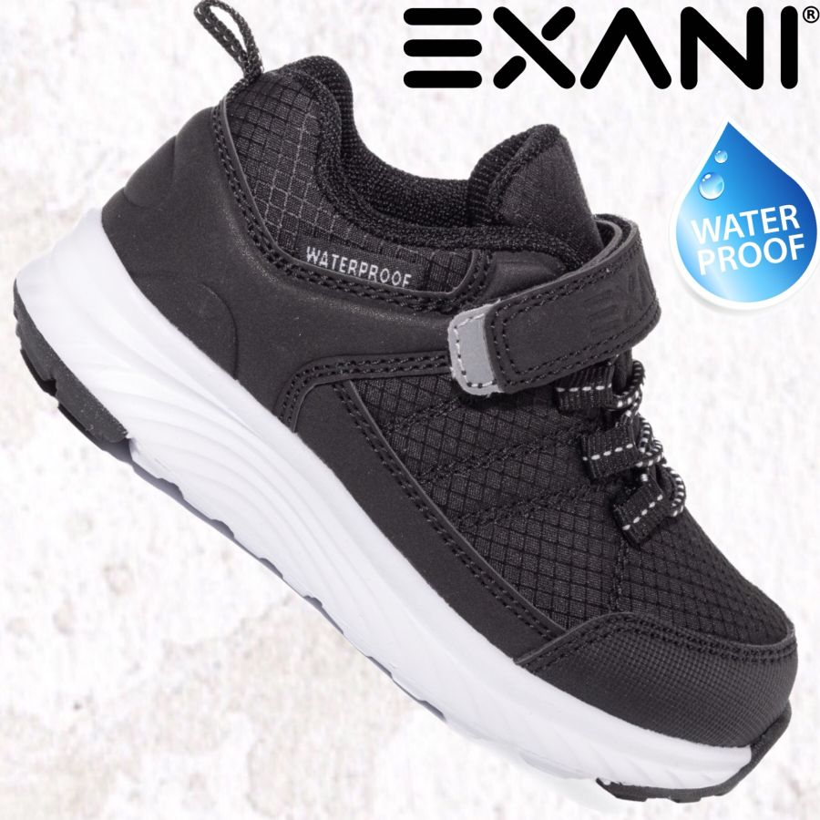 EXANI