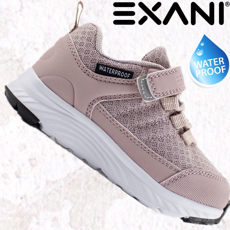 EXANI