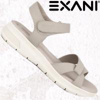 EXANI