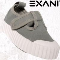 EXANI