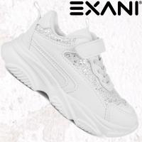 EXANI