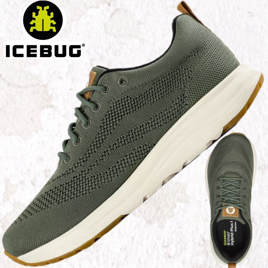 Icebug