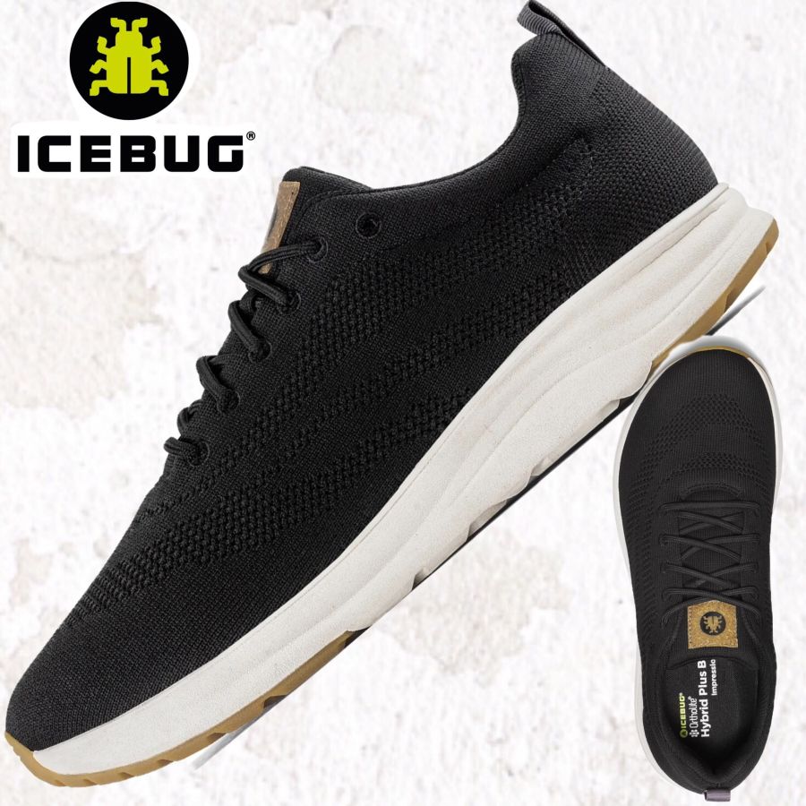 Icebug
