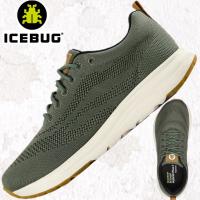 Icebug
