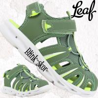 Leaf